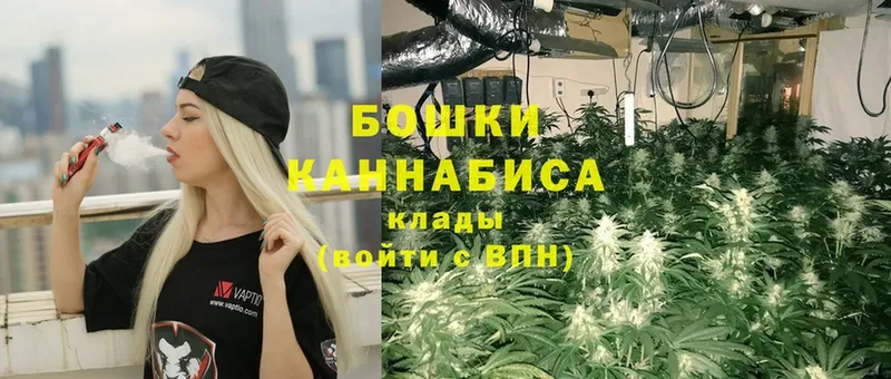 Канабис SATIVA & INDICA  Советский 